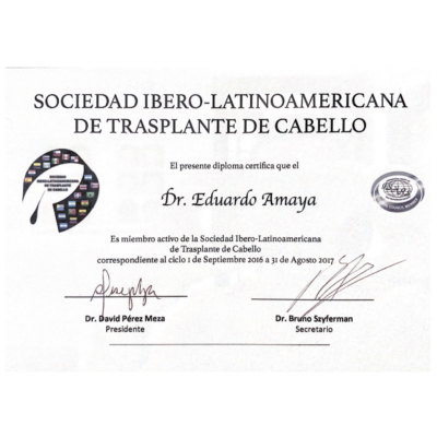 Sociedad Ibero-Latinoamericana de Trasplante de Cabello